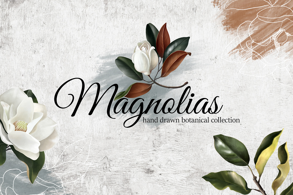 Magnolias hand drawn botanical set in Illustrations - product preview 8