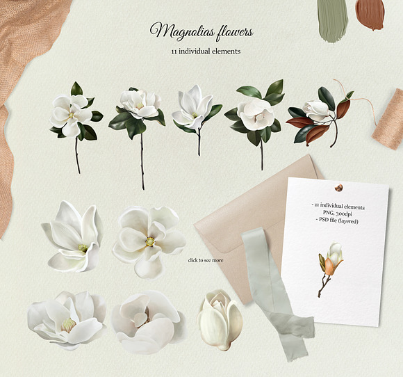 Magnolias hand drawn botanical set in Illustrations - product preview 1