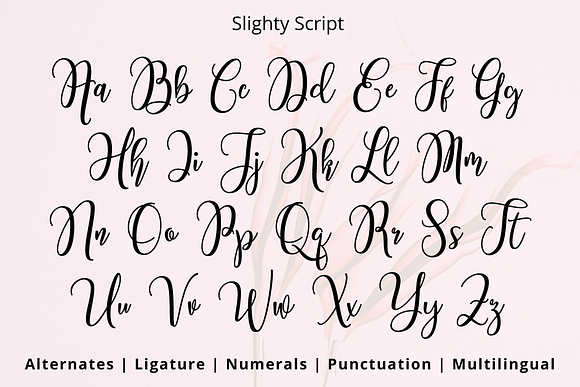 Slighty Script in Script Fonts - product preview 10