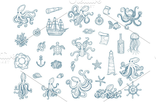 Marine illustrations. Octopus