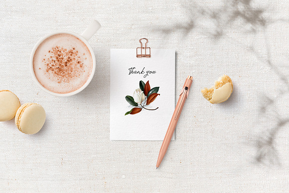 Magnolias hand drawn botanical set in Illustrations - product preview 6