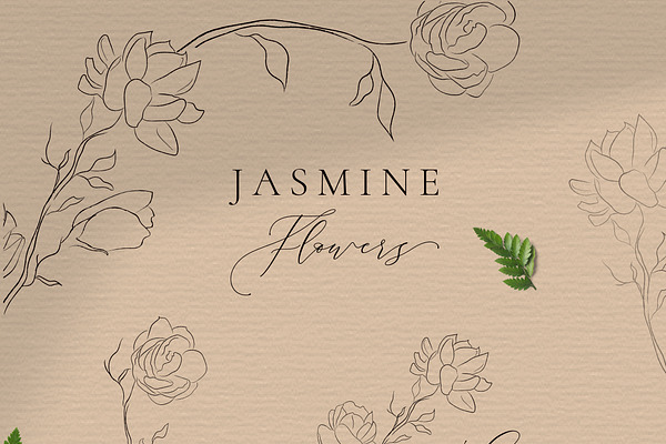 Jasmine Flowers Line Art Elements