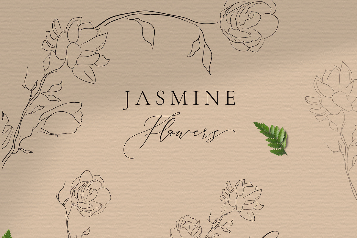 Jasmine Flowers Line Art Elements in Illustrations - product preview 8