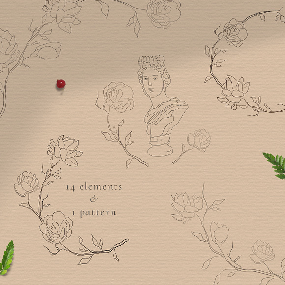 Jasmine Flowers Line Art Elements in Illustrations - product preview 1