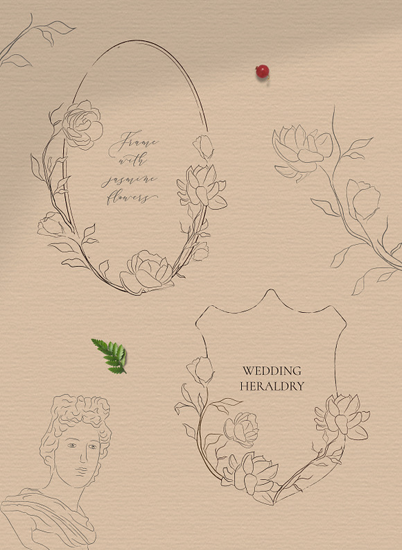 Jasmine Flowers Line Art Elements in Illustrations - product preview 2