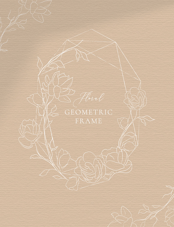 Jasmine Flowers Line Art Elements in Illustrations - product preview 3