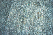 Grey grunge textured wall. Copy spac