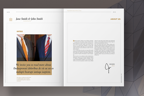 Law Proposal Layout in Brochure Templates - product preview 2