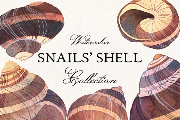 Snails' Shells Watercolor Collection