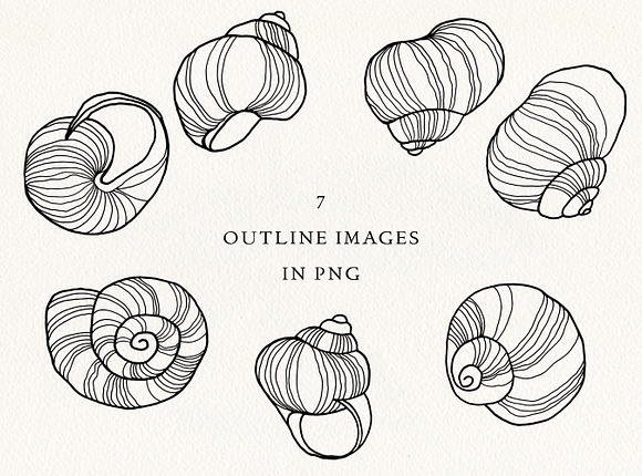 Snails' Shells Watercolor Collection in Illustrations - product preview 2