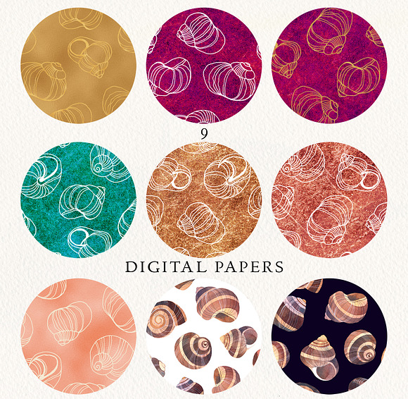 Snails' Shells Watercolor Collection in Illustrations - product preview 5