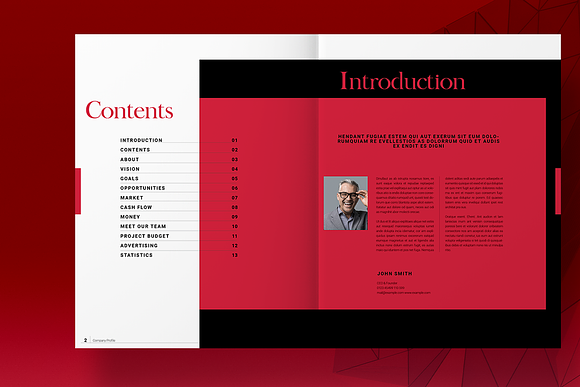 Red Business Brochure Layout in Brochure Templates - product preview 1