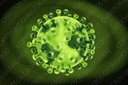 Coronavirus Virus Cell Global
