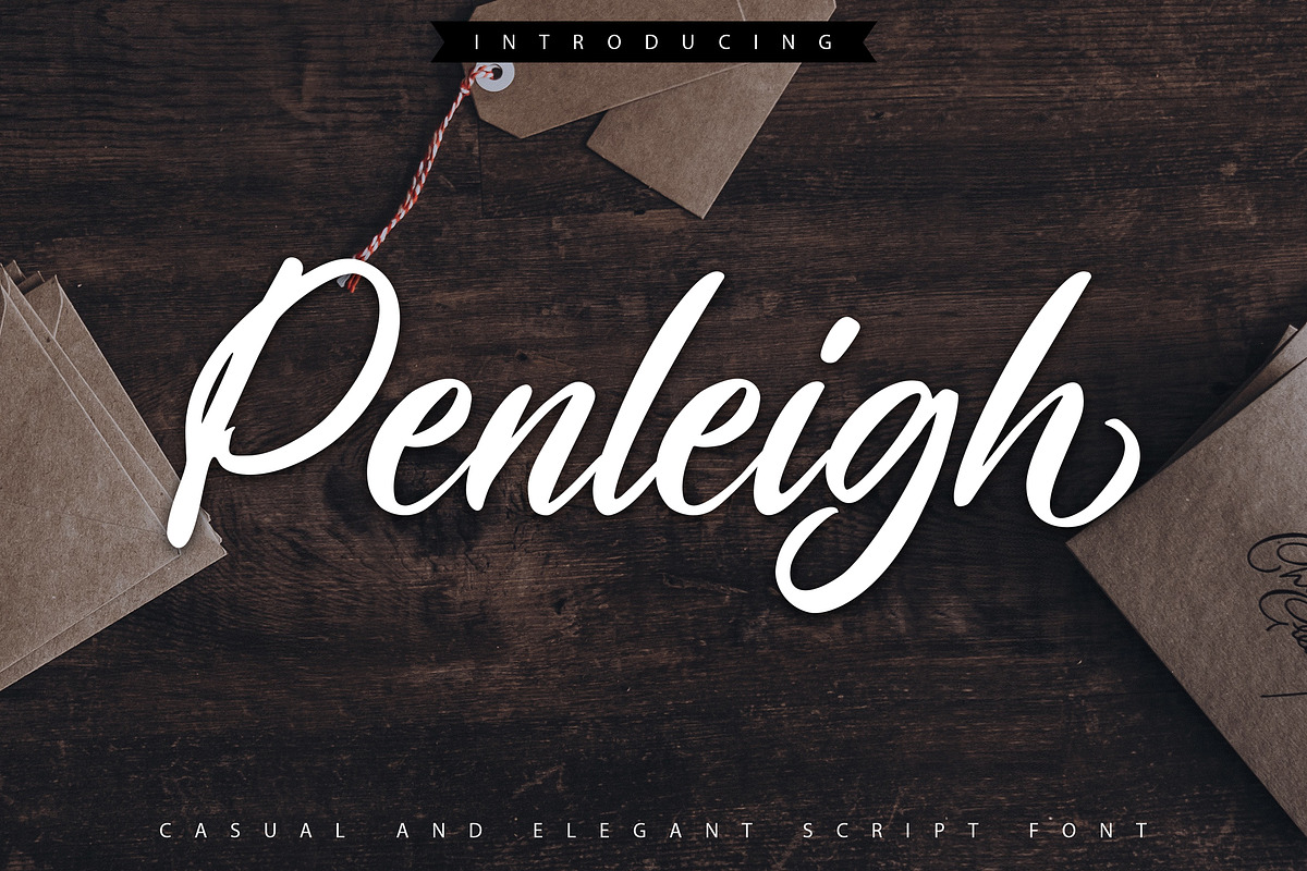Penleigh | Casual & Elegant Script in Script Fonts - product preview 8