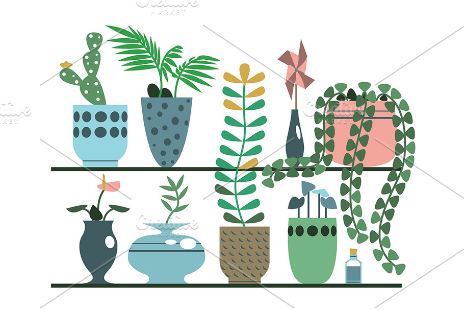 Green plants in pots and vases set