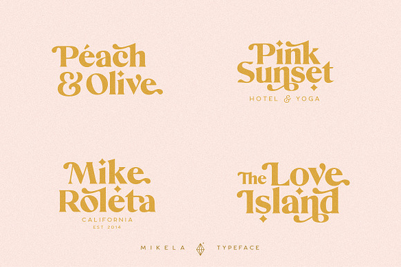 Mikela - 50% OFF Gorgeous Typefaces in Serif Fonts - product preview 19