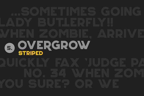 Overgrow Typeface in Display Fonts - product preview 4