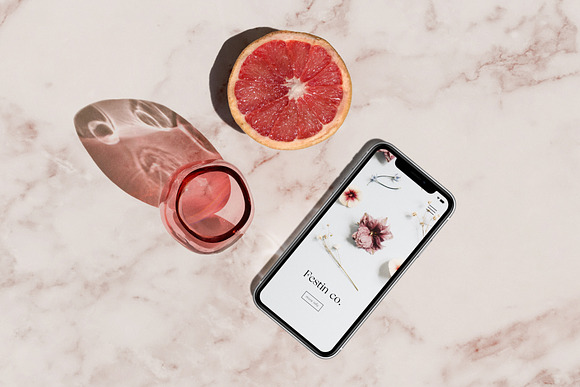 FESTIN iPhone XR Mockup in Mobile & Web Mockups - product preview 1