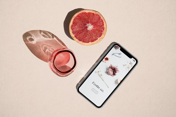 FESTIN iPhone XR Mockup in Mobile & Web Mockups - product preview 2