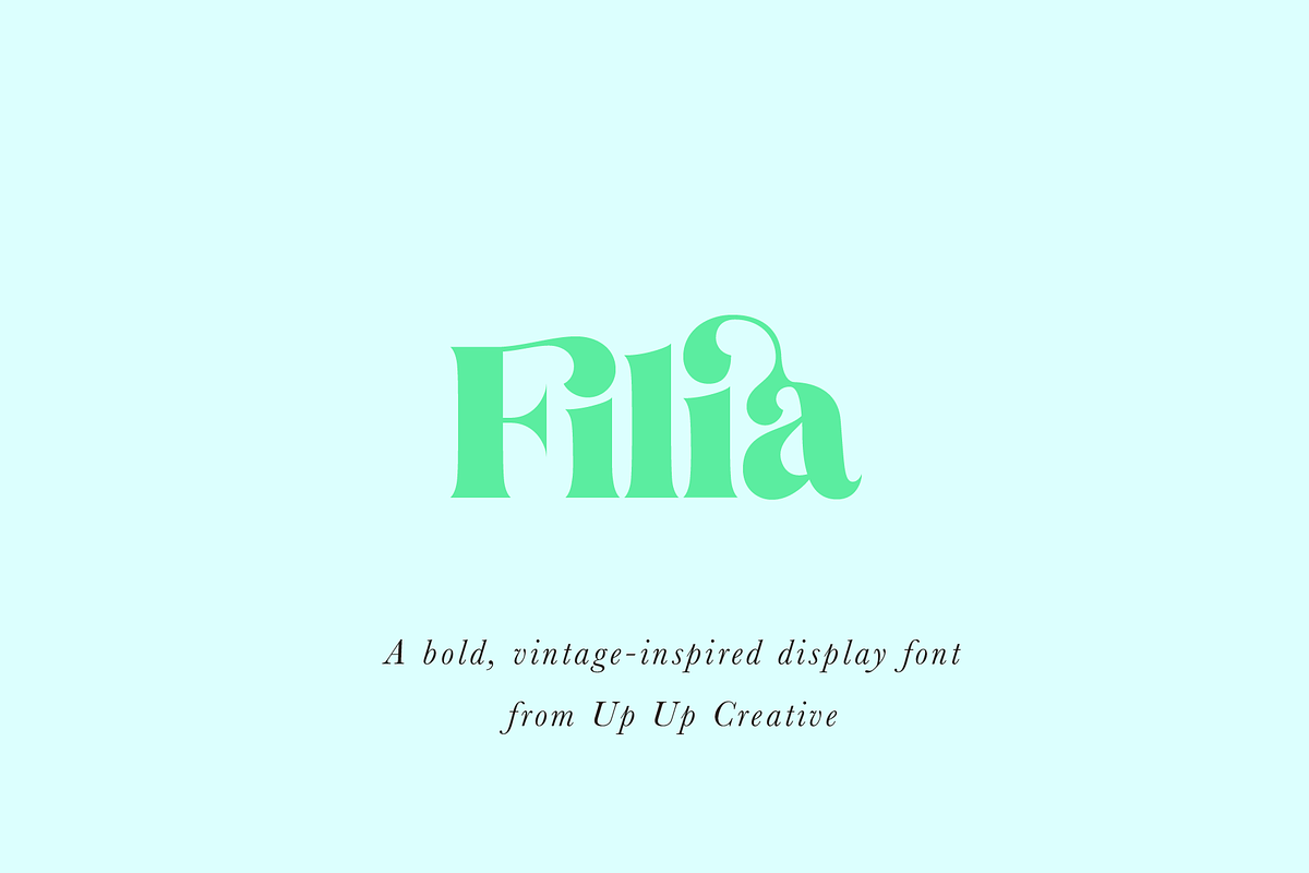 Filia Serif Display Font in Display Fonts - product preview 8