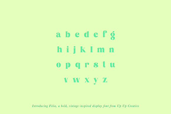 Filia Serif Display Font in Display Fonts - product preview 1