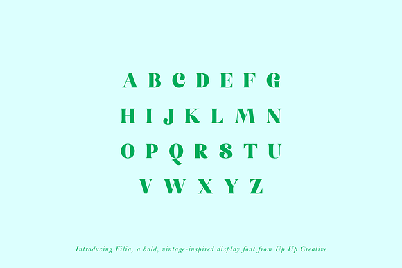 Filia Serif Display Font in Display Fonts - product preview 3