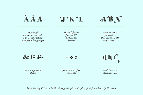 Filia Serif Display Font in Display Fonts - product preview 4