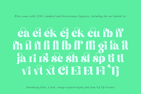 Filia Serif Display Font in Display Fonts - product preview 5