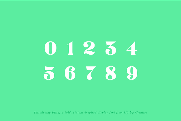 Filia Serif Display Font in Display Fonts - product preview 6