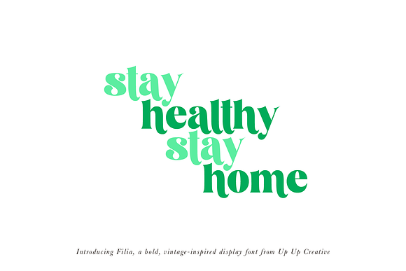 Filia Serif Display Font in Display Fonts - product preview 9