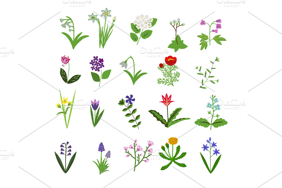 Spring flowers set in Patterns - product preview 8