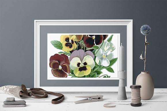 Pansy Clipart Flowers in Illustrations - product preview 3
