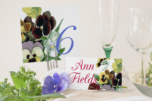 Pansy Clipart Flowers in Illustrations - product preview 5