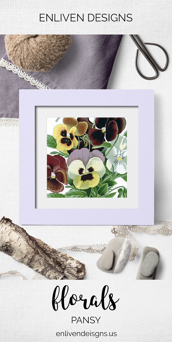Pansy Clipart Flowers in Illustrations - product preview 7