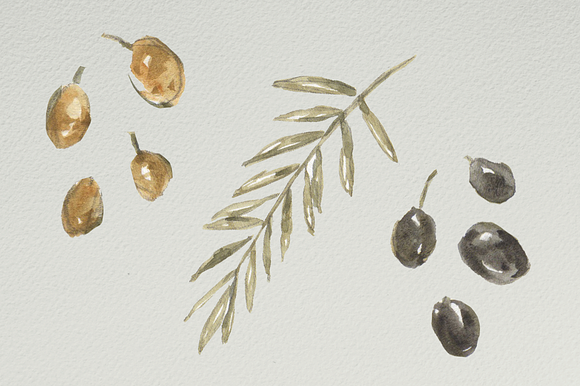 Watercolor Olive Branches in Illustrations - product preview 1