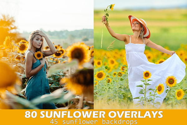 80 Sunflower Photo Overlays Backdrop