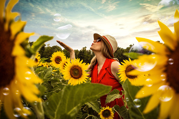 80 Sunflower Photo Overlays Backdrop in Objects - product preview 3