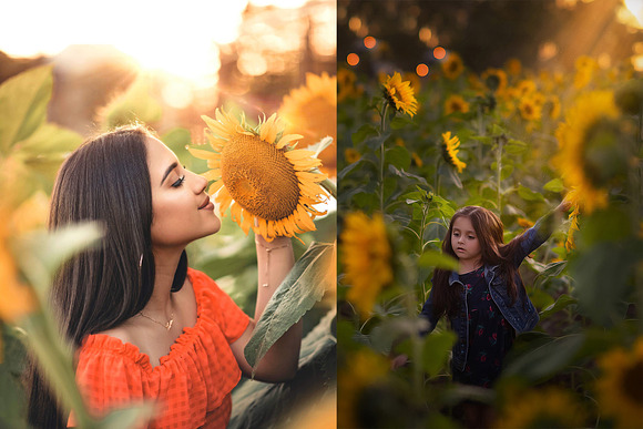 80 Sunflower Photo Overlays Backdrop in Objects - product preview 4