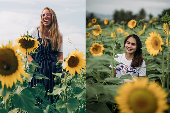 80 Sunflower Photo Overlays Backdrop in Objects - product preview 6