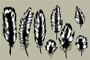 8 Hand Drawn Feathers set.