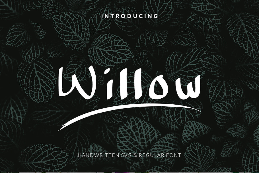 Willow Handwritten Font in Display Fonts - product preview 8