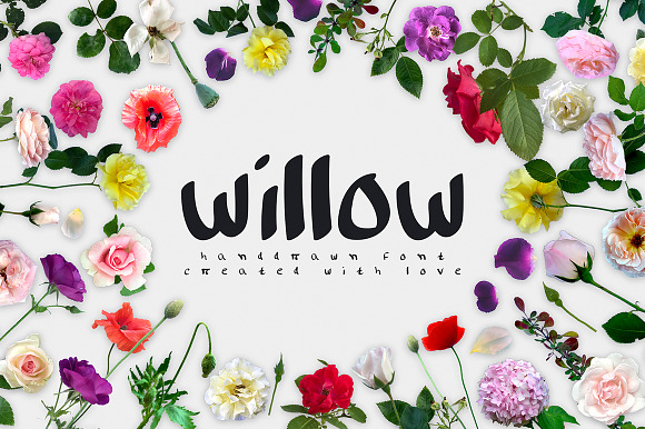 Willow Handwritten Font in Display Fonts - product preview 1