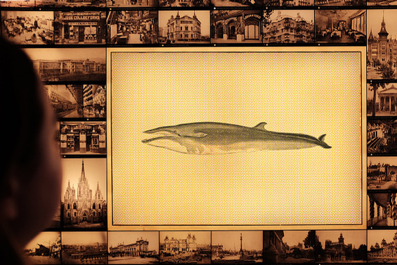 Whale Clipart Vintage in Illustrations - product preview 8