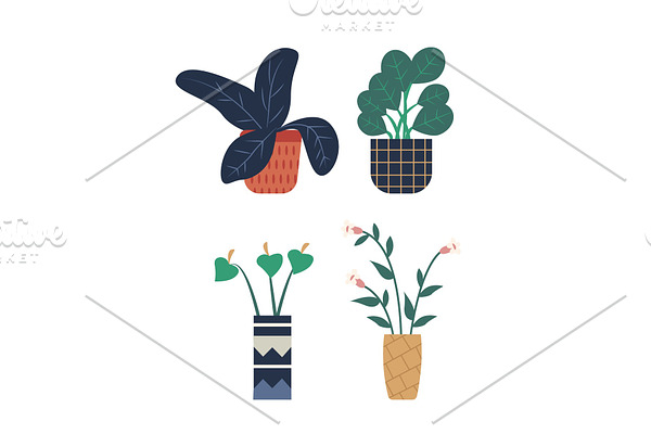 Room Plant Isolated Set, Pots and