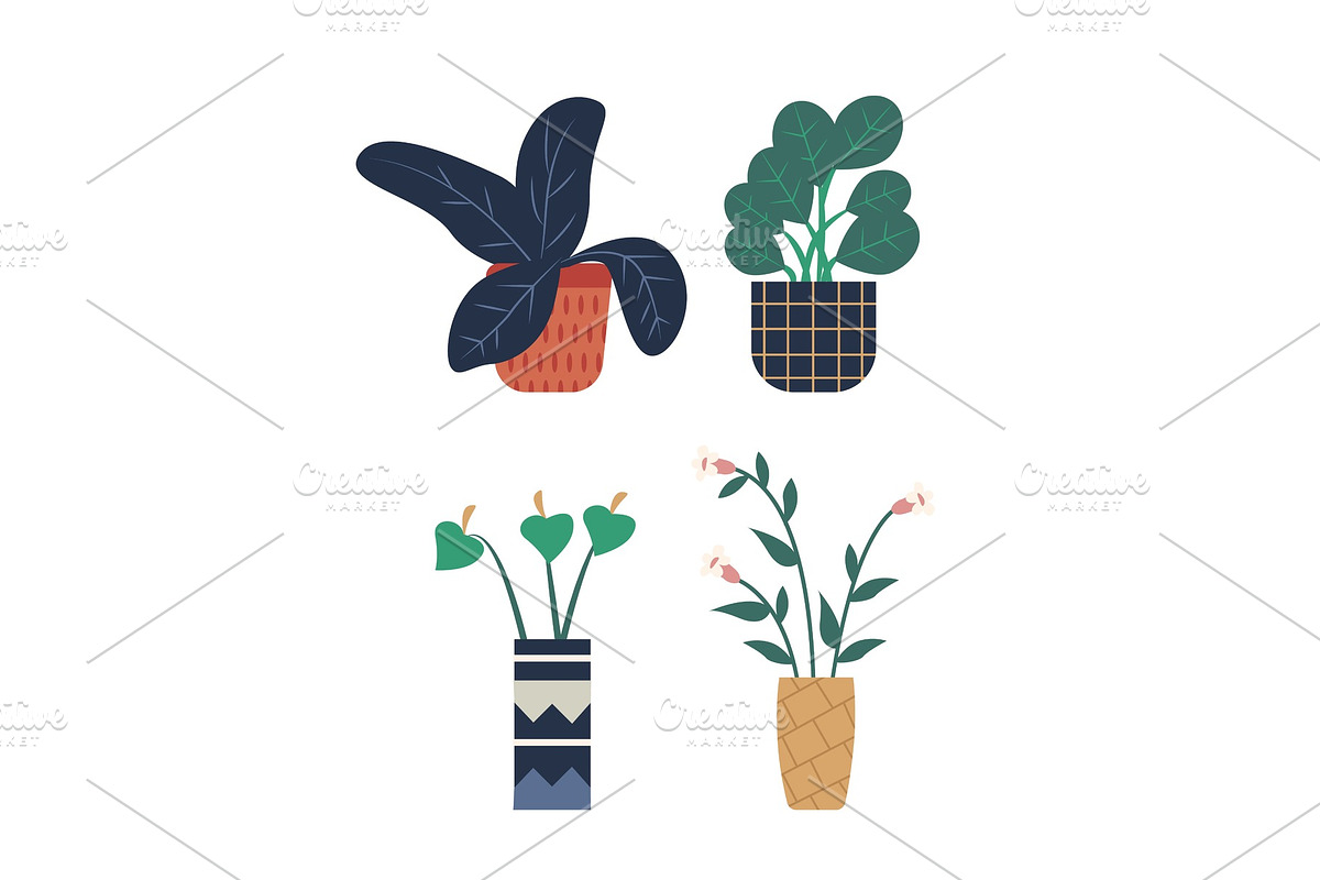 Room Plant Isolated Set, Pots and in Illustrations - product preview 8