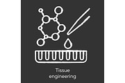 Tissue engineering chalk icon