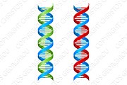 DNA Double Helix Molecule