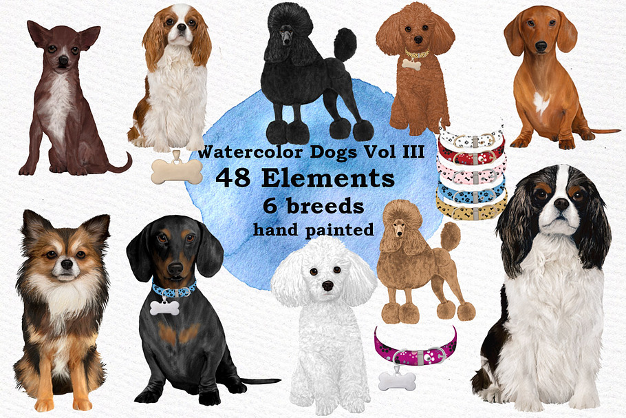 Dogs Clipart Dog breeds Pet clipart in Illustrations - product preview 8