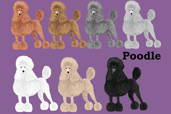 Dogs Clipart Dog breeds Pet clipart in Illustrations - product preview 4
