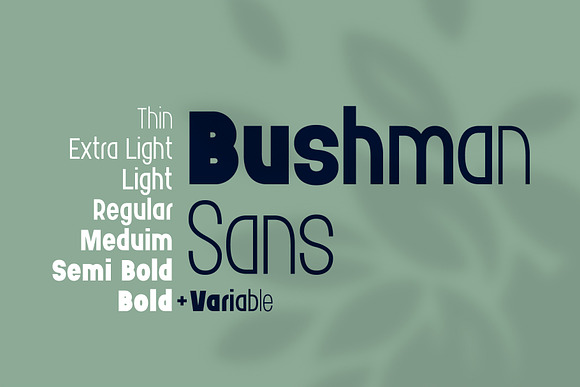 Bushman font set in Sans-Serif Fonts - product preview 3